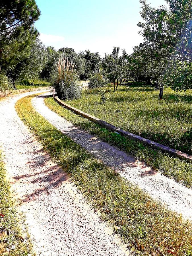 Villa Il Leccio - Trulli ชิสแตร์นีโน ภายนอก รูปภาพ